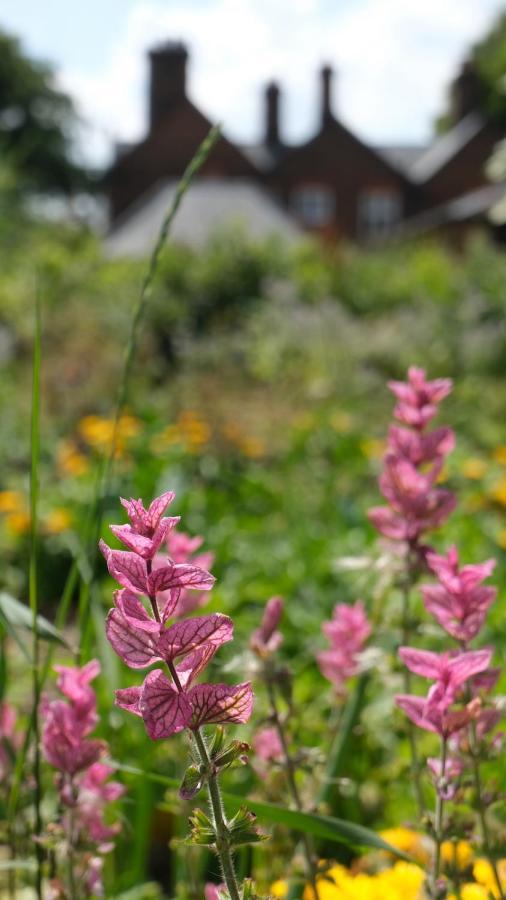 Beech Hill B&B Weaverham Esterno foto